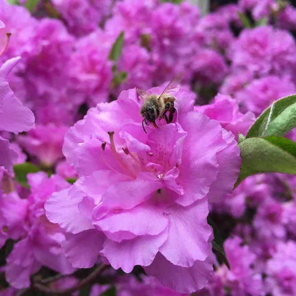 Meet your Posher, Katrin - Picture 8 of 16